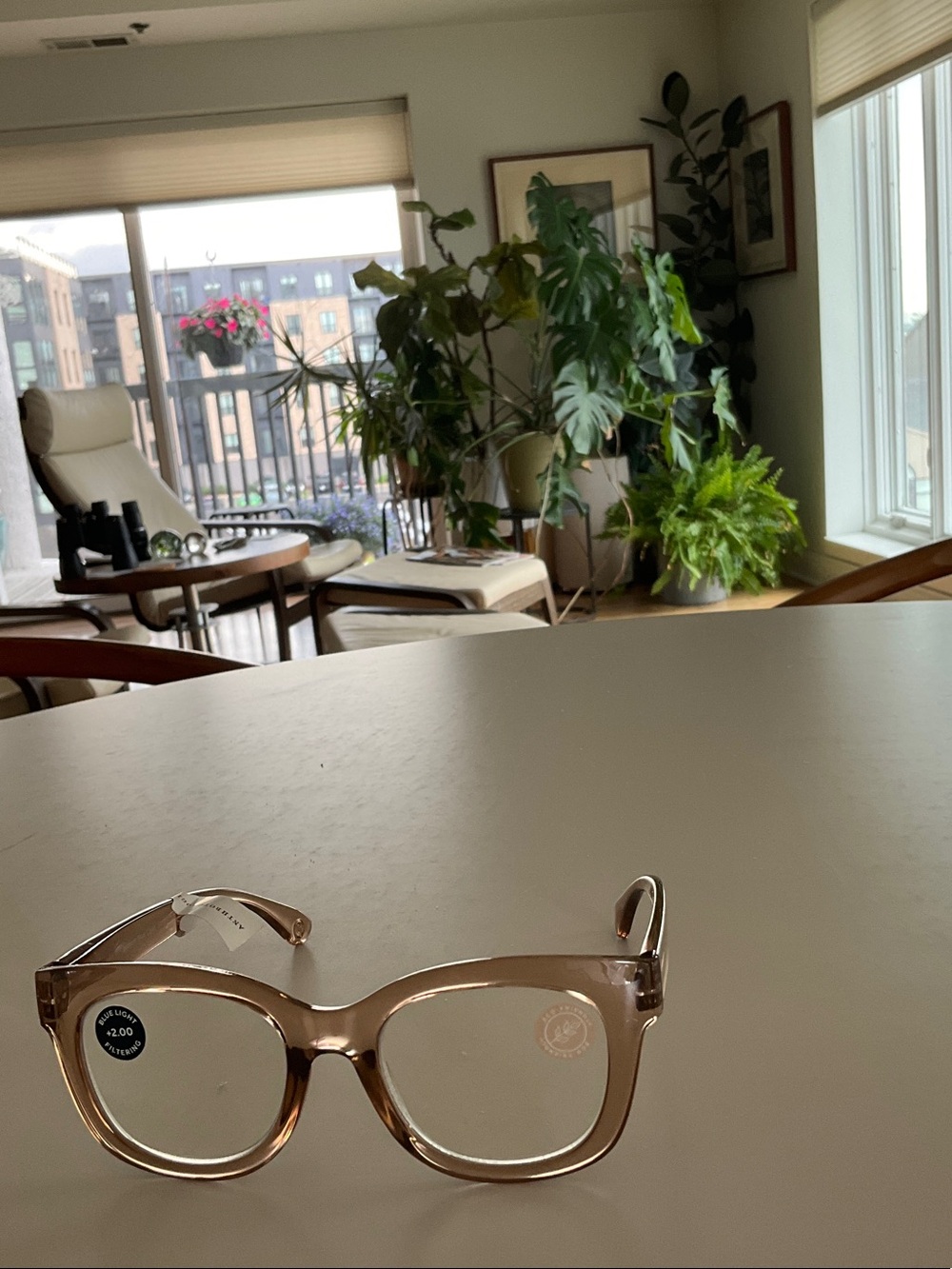 Anthropologie Translucent Light Brown/Taupe Square Glasses
